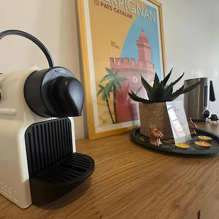 Le Coeur De Perpignan- Parking Offert- Centre *