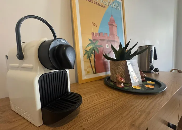 Le Coeur De Perpignan- Parking Offert- Centre *